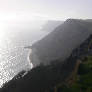 Cliffs at Branscombe