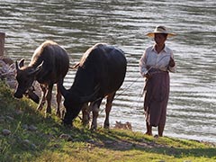 Myanmar